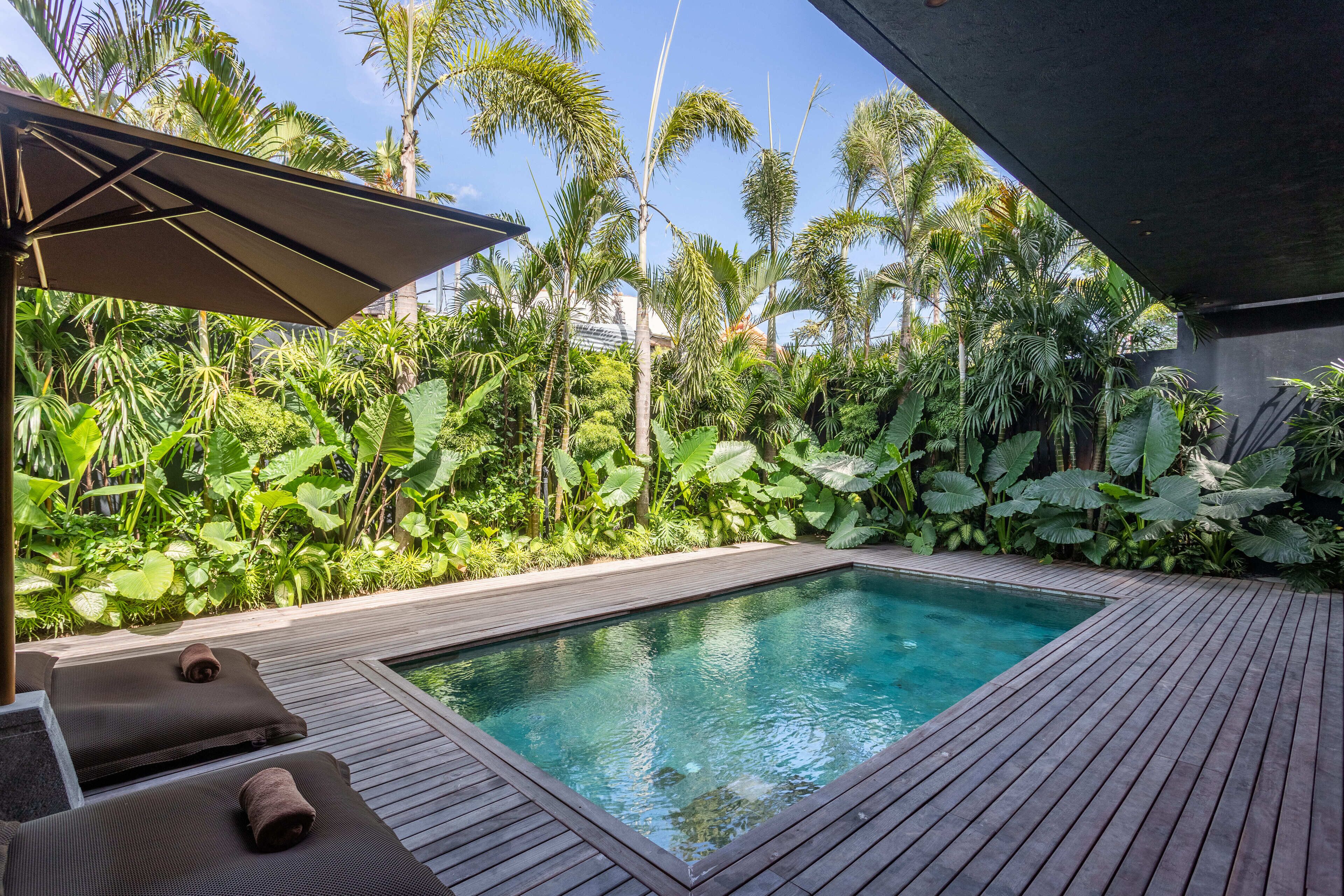 A rectangular pool with wooden decking, surrounded by lush tropical plants and palm trees.