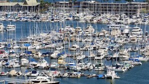 Un puerto deportivo lleno de diversos barcos y yates, rodeado de edificios y palmeras.