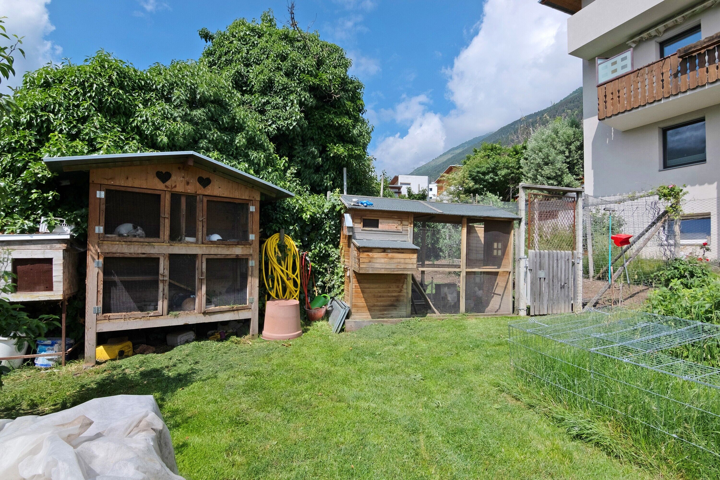 A residential area with multiple wooden structures, including a chicken coop and a small shed, surrounded by a grassy yard and a wire fence.