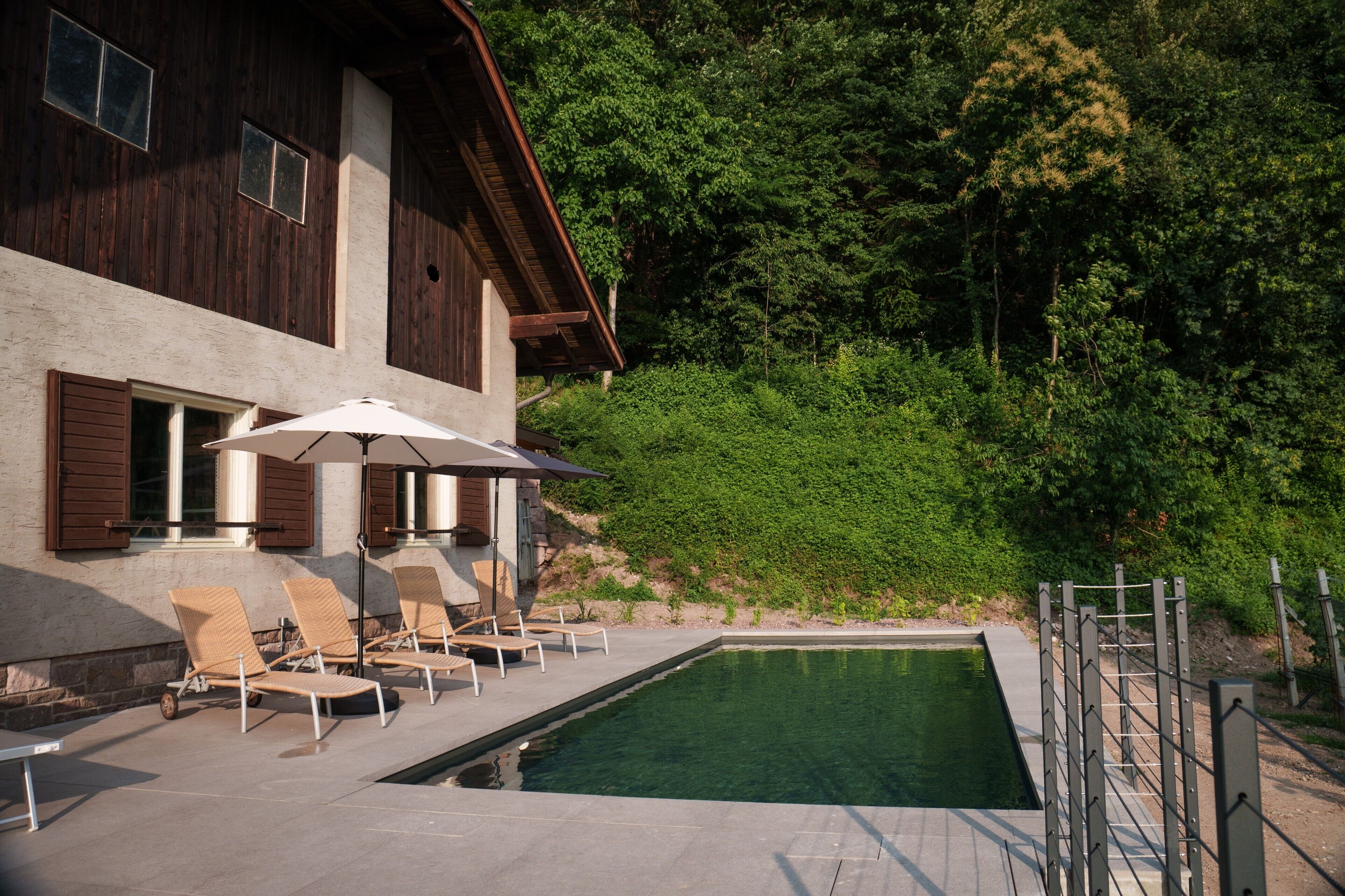 Area piscina con lettini e ombrelloni, un edificio in legno e un pendio boscoso.