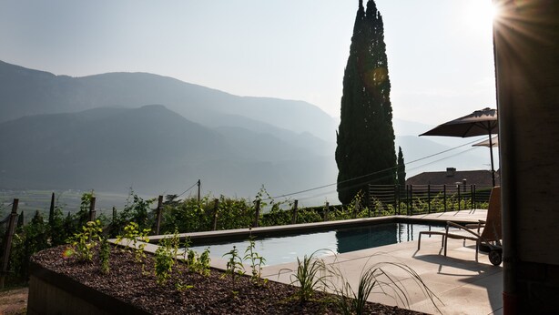 A swimming pool with a view of mountains, a tall tree, and a patio area with a chair. - Apartment 'Linslhof Terlaner' with Mountain View, Private Terrace and Wi-Fi (Terlano)