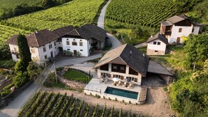 A vineyard estate with multiple buildings, a swimming pool, and a well-maintained garden. - Apartment 'Linslhof Terlaner' with Mountain View, Private Terrace and Wi-Fi (Terlano)
