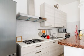 Fridge, microwave, oven, stovetop - Apartment "Calliope" with Sea View, Private Terrace, Wi-Fi & A/C (tricase)