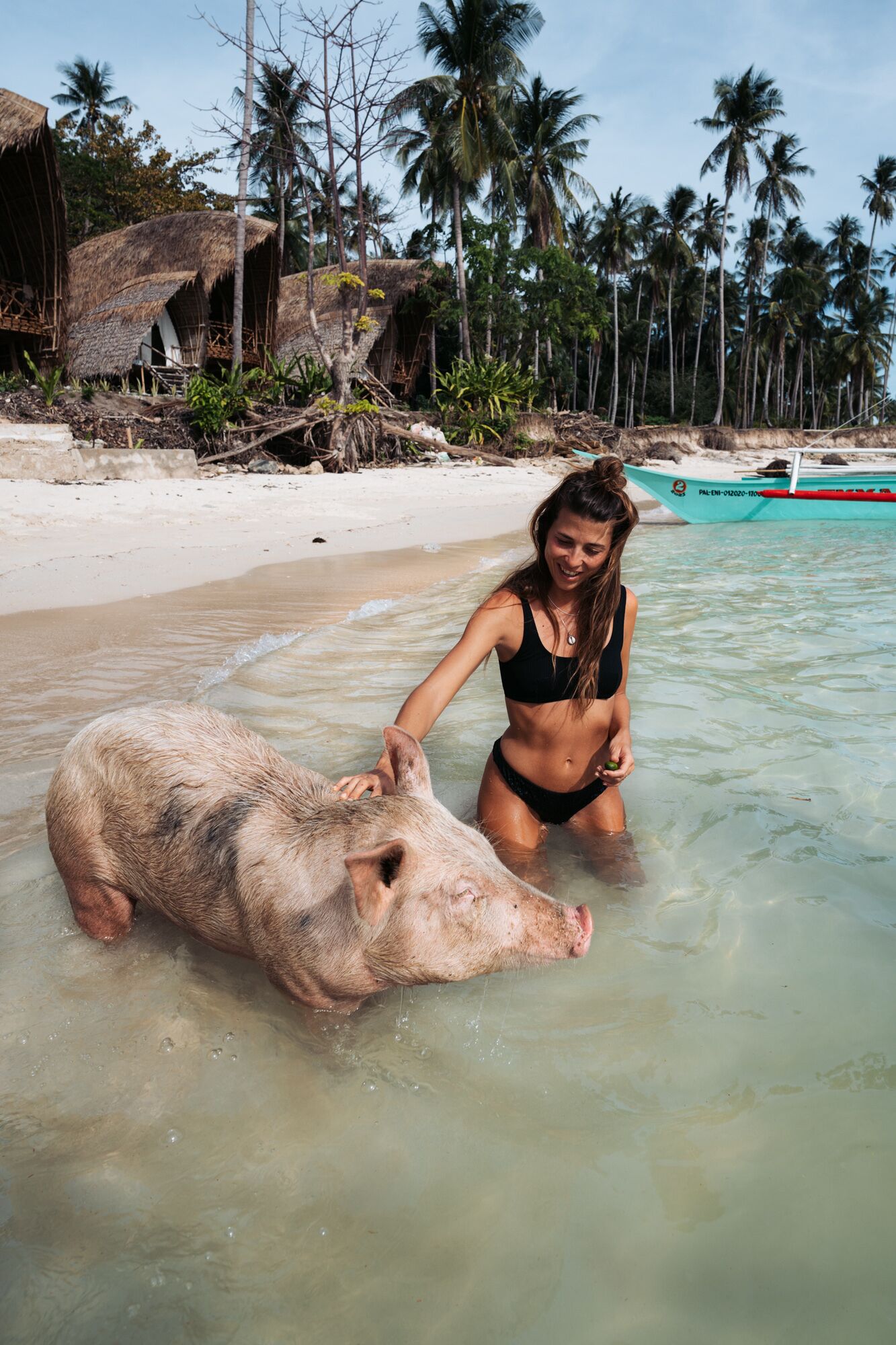 Pet-friendly amenities