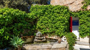 A stone water feature with a small pond, surrounded by lush green ivy and plants. - Holiday Home 'Can Bennassar' with Private Terrace, Balcony and Wi-Fi (Cala Sant Vicenç)