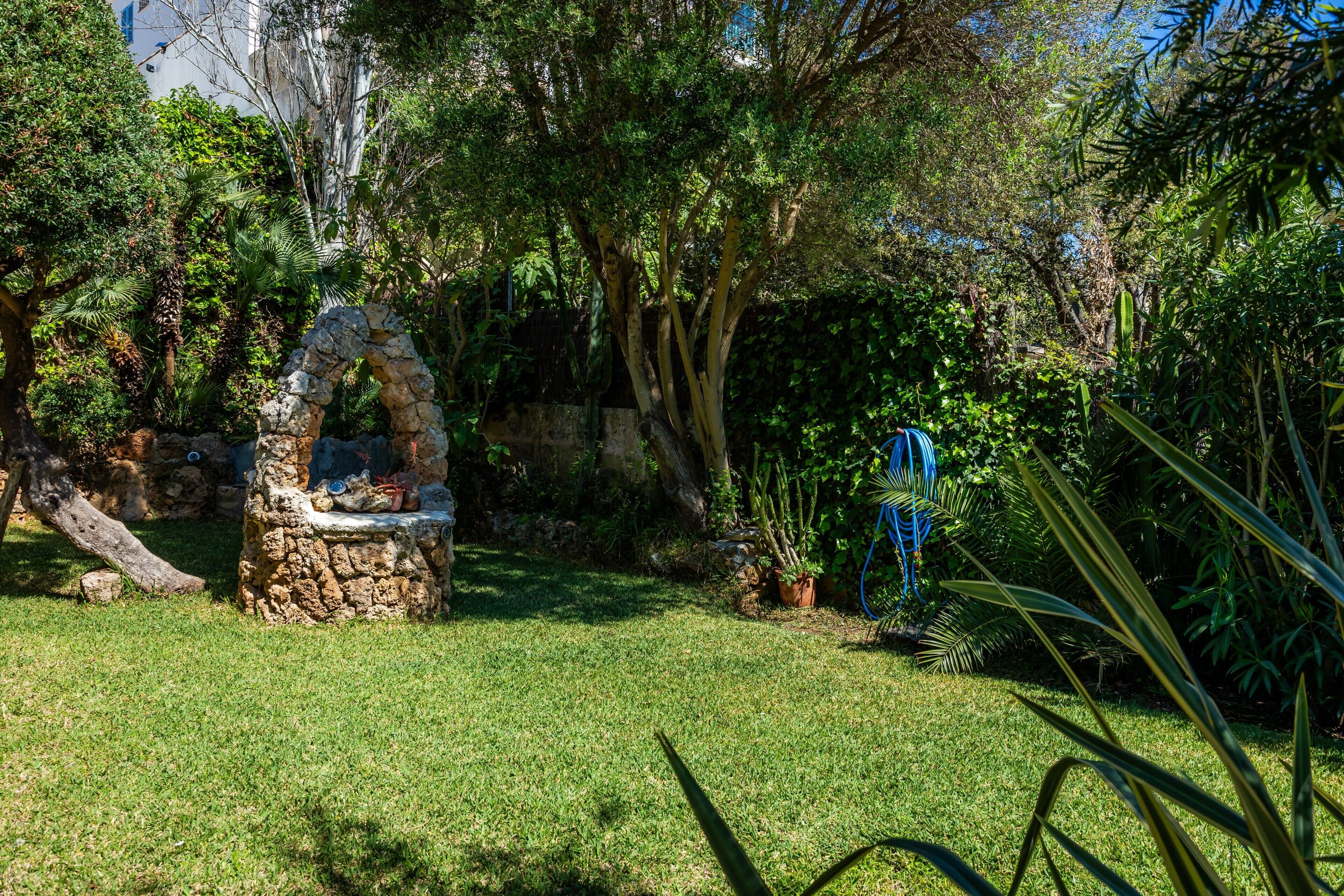 A garden with a stone fountain, lush greenery, and a stone wall.