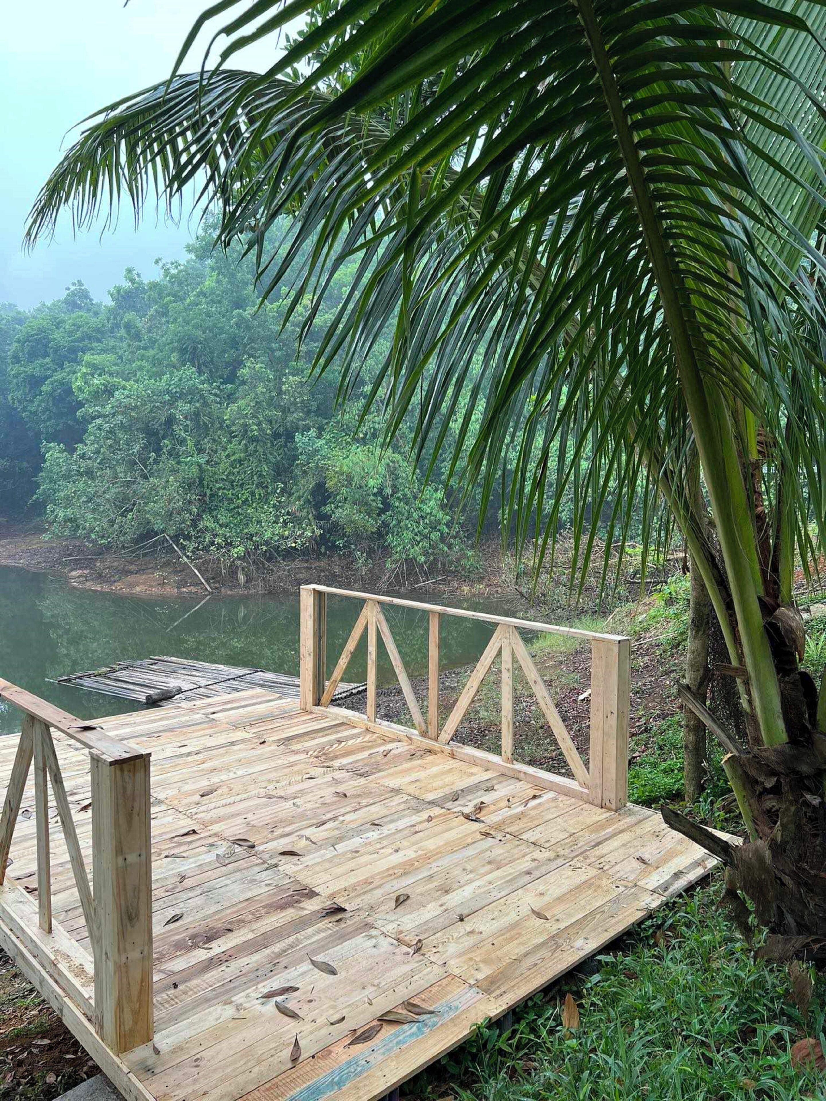 Un pontile in legno lungo un fiume, con una palma.