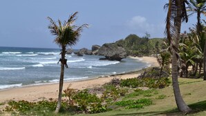 A beach with palm trees, a rocky shoreline, and waves.