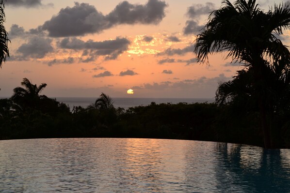 Atardecer sobre una masa de agua con palmeras y un horizonte lejano.