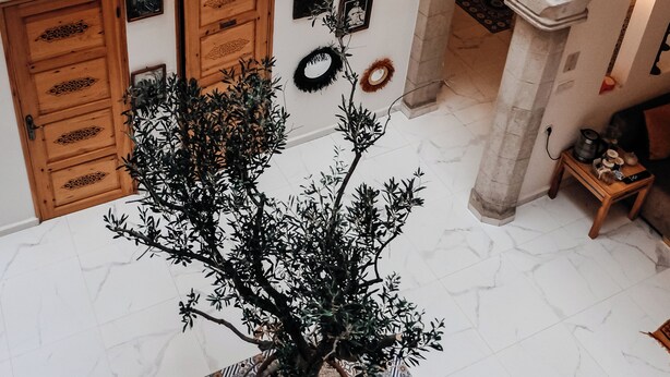 Un interior de varios niveles con arcos de piedra, muebles de madera y una planta en maceta.