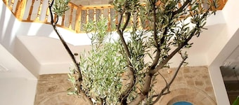 Riad Al Manara 