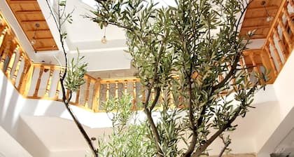 Riad Al Manara