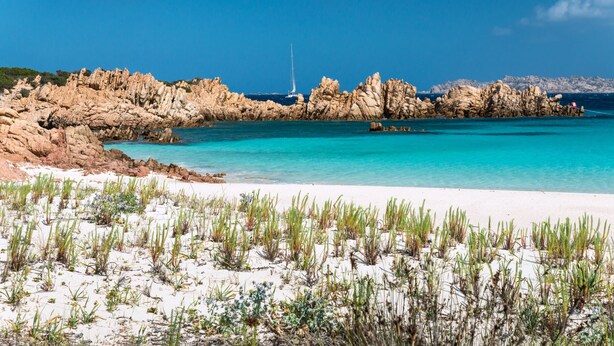 A coastal landscape with white sandy beach, clear turquoise waters, and rocky formations. - Affittimoderni La Maddalena - MADA19 (La Maddalena)
