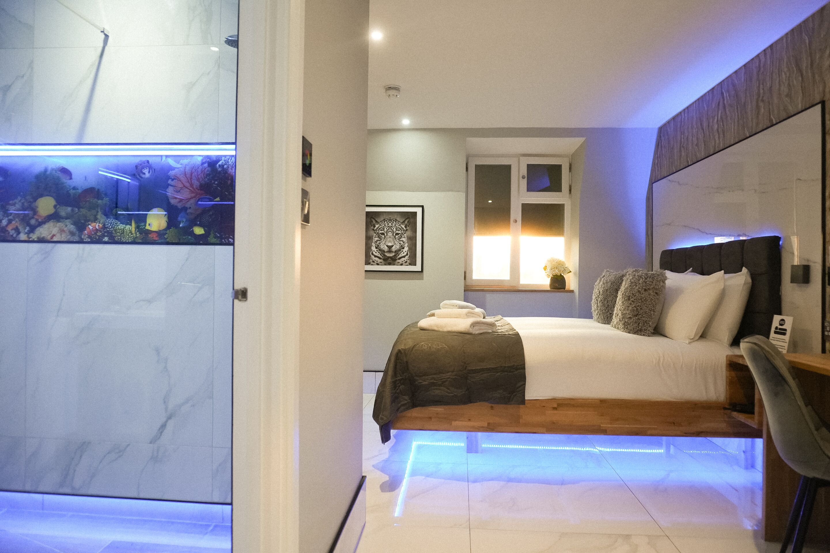 A modern bedroom with a bed, bedside table, and a wall-mounted aquarium.