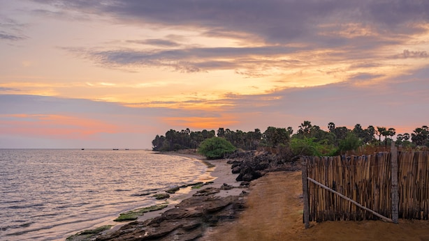 A beach with a wooden fence and a line of trees in the background.