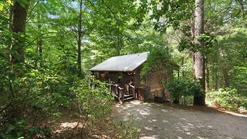 A rustic cabin with a gravel driveway, surrounded by dense forest.