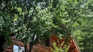 Ein mehrstöckiges Holzhaus mit Balkon, umgeben von üppigem Grün.