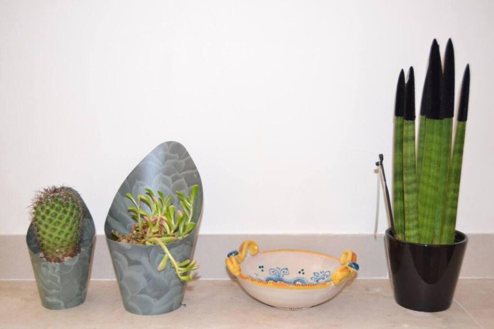 Four potted plants of different types and sizes on a flat surface.