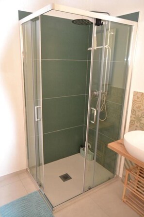 Shower, hair dryer, bidet, towels