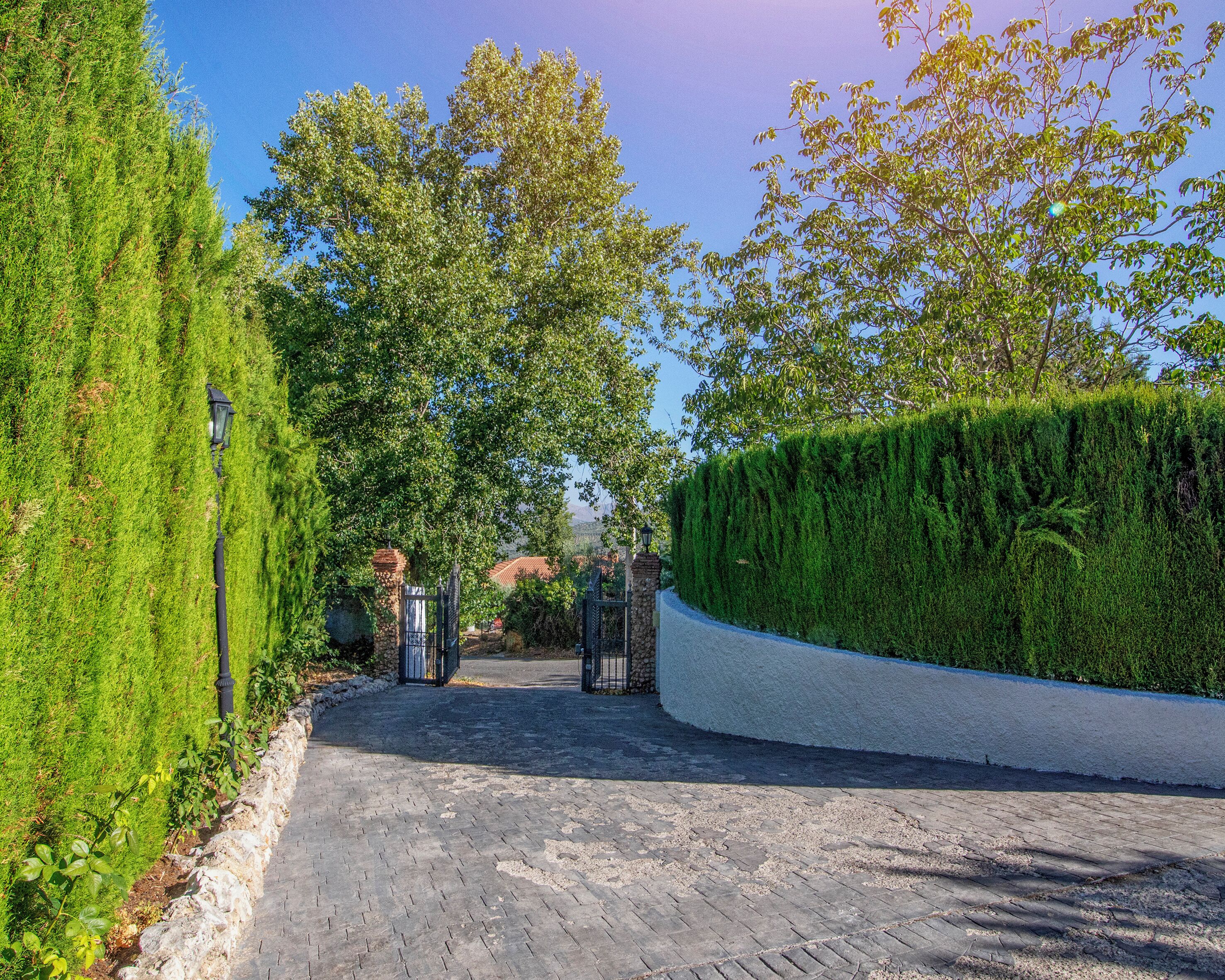 A paved pathway leading to a gated entrance with a hedge on one side and a tree-lined path on the other.
