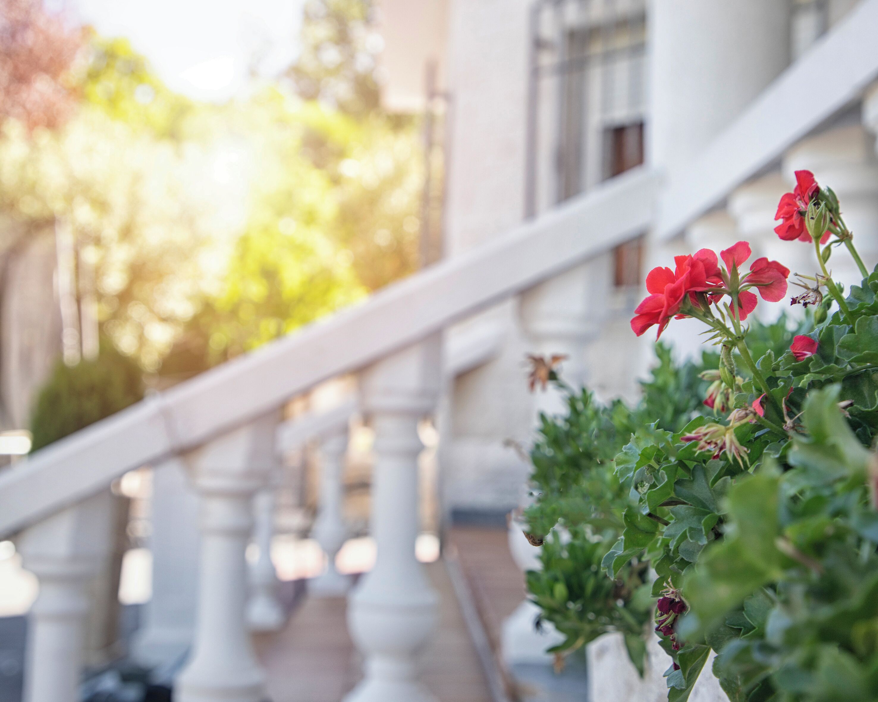 A staircase with white balustrades leading up to a building.