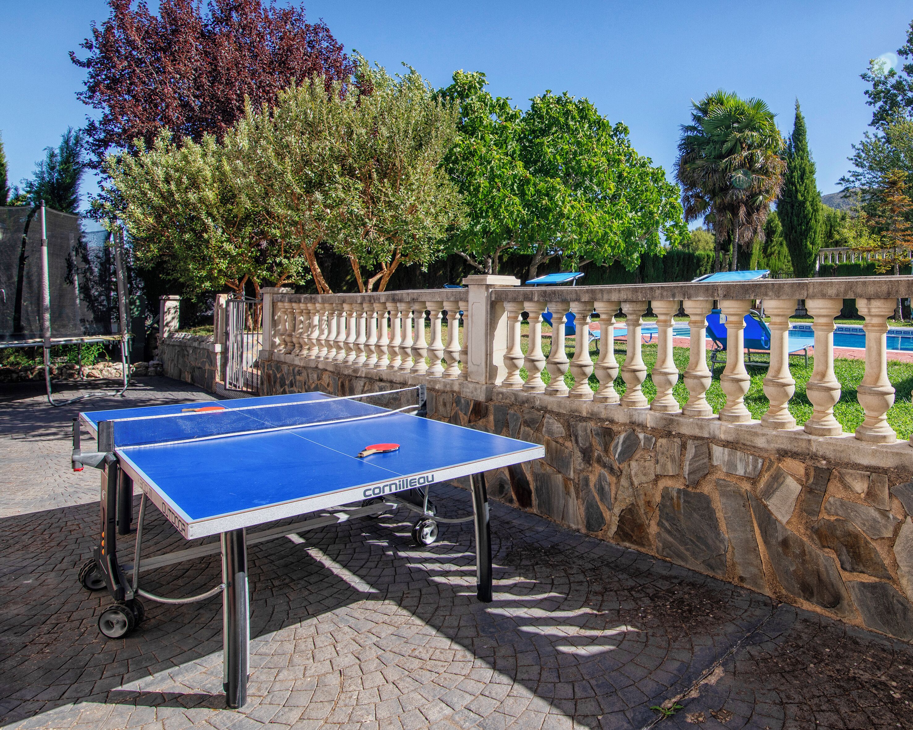 Une table de ping-pong installée à l’extérieur, avec un mur de pierre et de la verdure en arrière-plan.