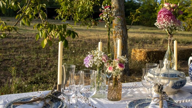 An outdoor dining table set with white lace tablecloth, glassware, and blue and white plates, surrounded by greenery and a tree. - La Leccina - Dependance (San Gimignano)