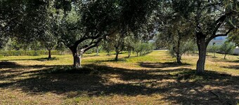 The pleasure of being at home even when traveling.<br>Mi Casa es tu Casa😊