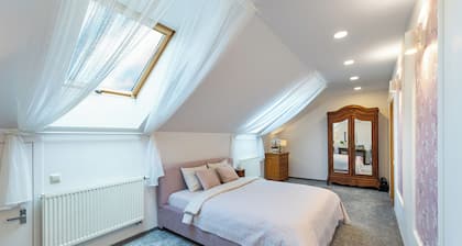 Cozy apartment by the river near old town
