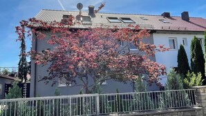 Un bâtiment avec un toit recouvert de tuiles, une antenne parabolique et un arbre aux feuilles rouges.