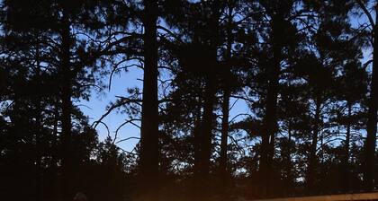 Cozy and quiet Cabin in the Woods