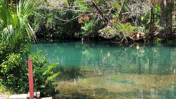 A clear pond with a stone pathway leading to a wooden dock. - Peaceful house right on the spring. Great place to get away from everything. (Spring Hill)