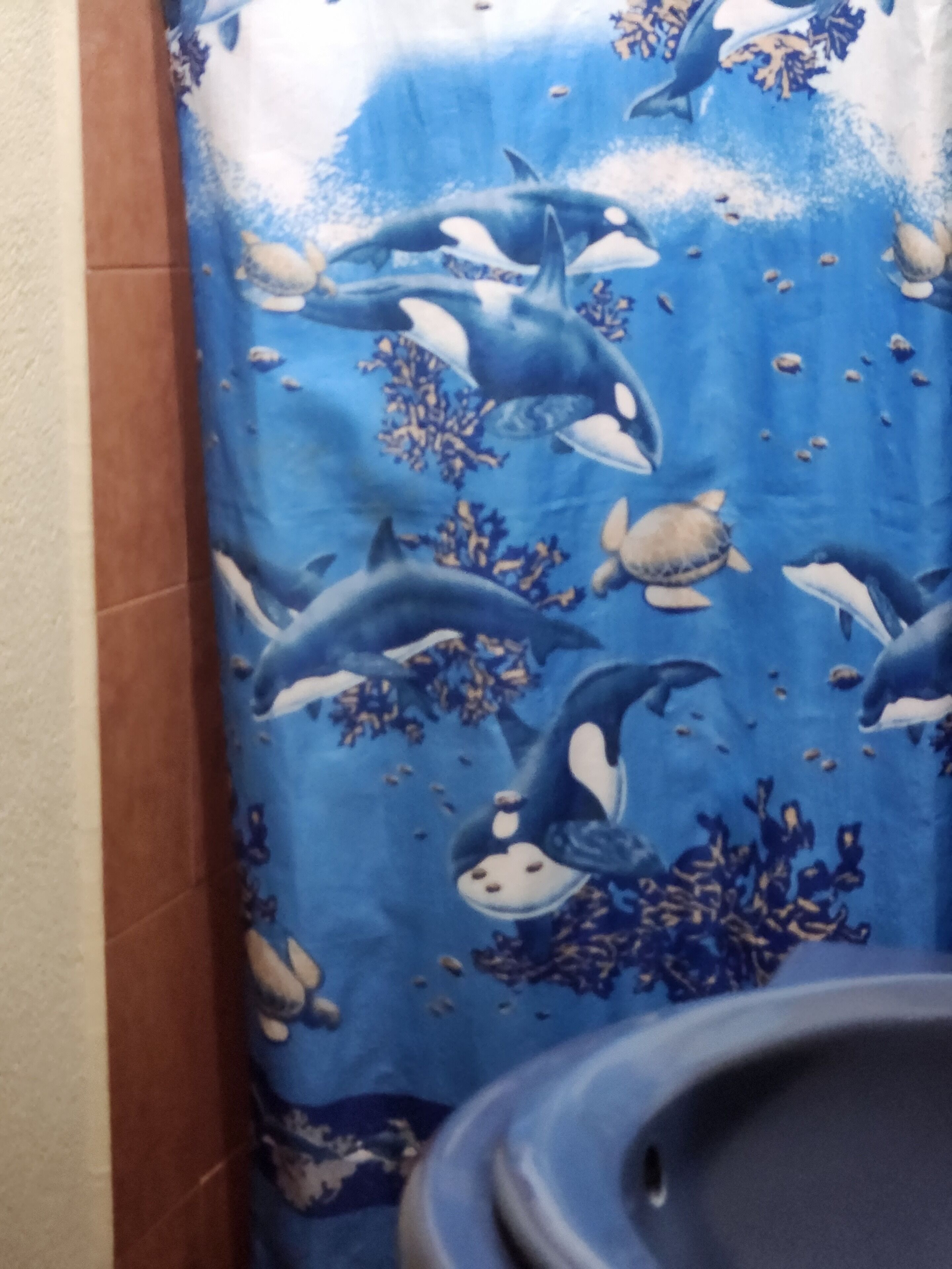 Foto - Hostal Sweet Dreams
