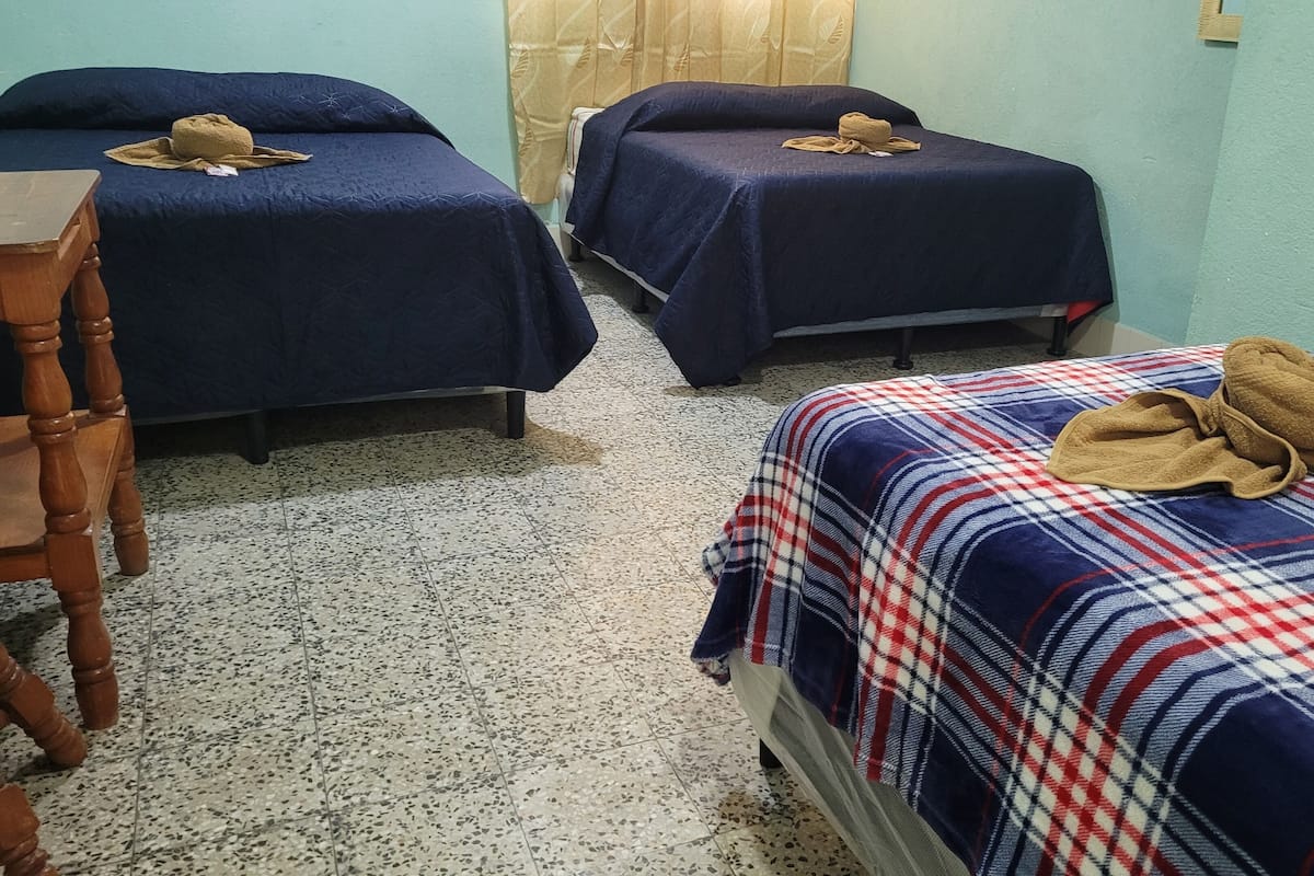 Premium bedding, down duvets, free WiFi, bed sheets