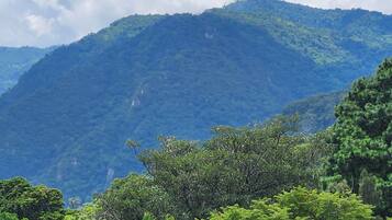 A mountainous landscape with dense green foliage in the foreground and a clear sky.
