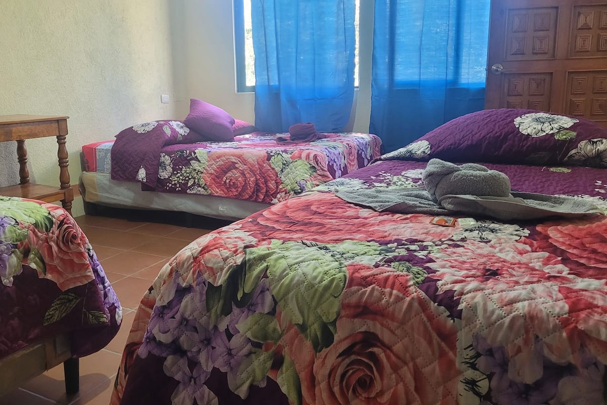 Premium bedding, down duvets, free WiFi, bed sheets
