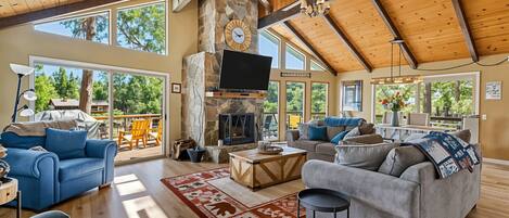 TV, fireplace, DVD player