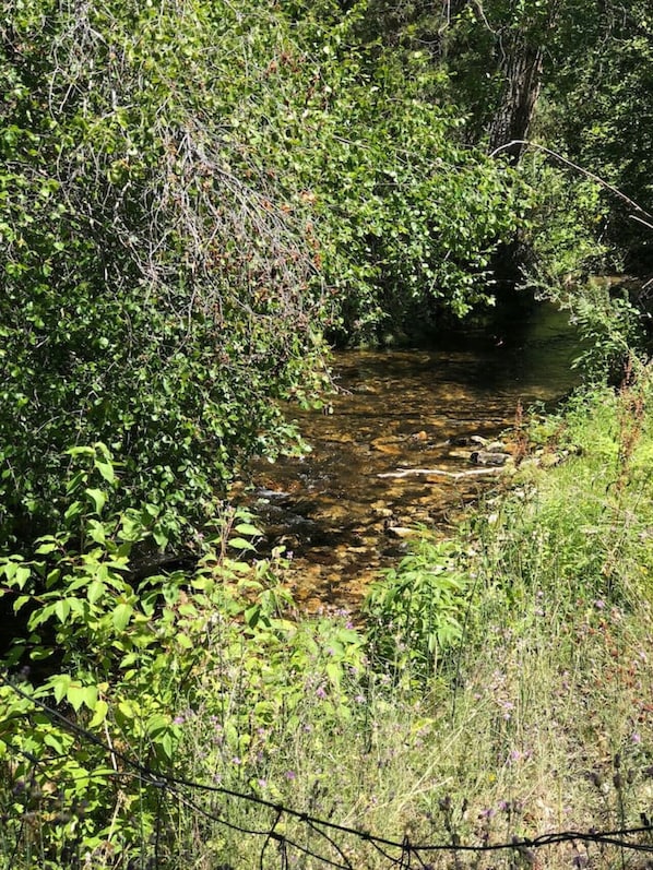 منوع