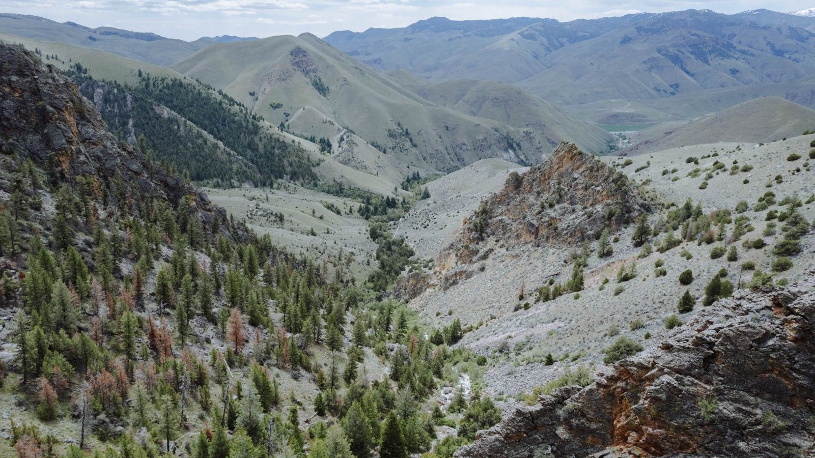 A mountainous landscape with a valley and scattered trees.
