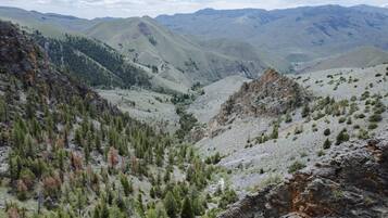 A mountainous landscape with a valley and scattered trees.