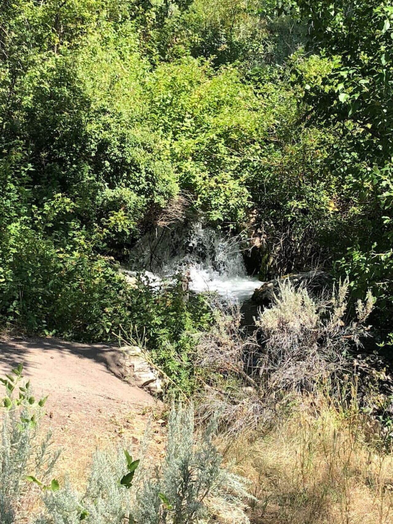 A natural landscape with a waterfall, dense greenery, and a dirt path.