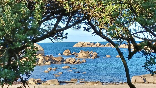 Paesaggio costiero con affioramenti rocciosi e un mare blu limpido.