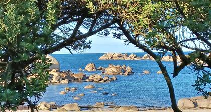 Vaste maison sur jardin entiĂšrement clos