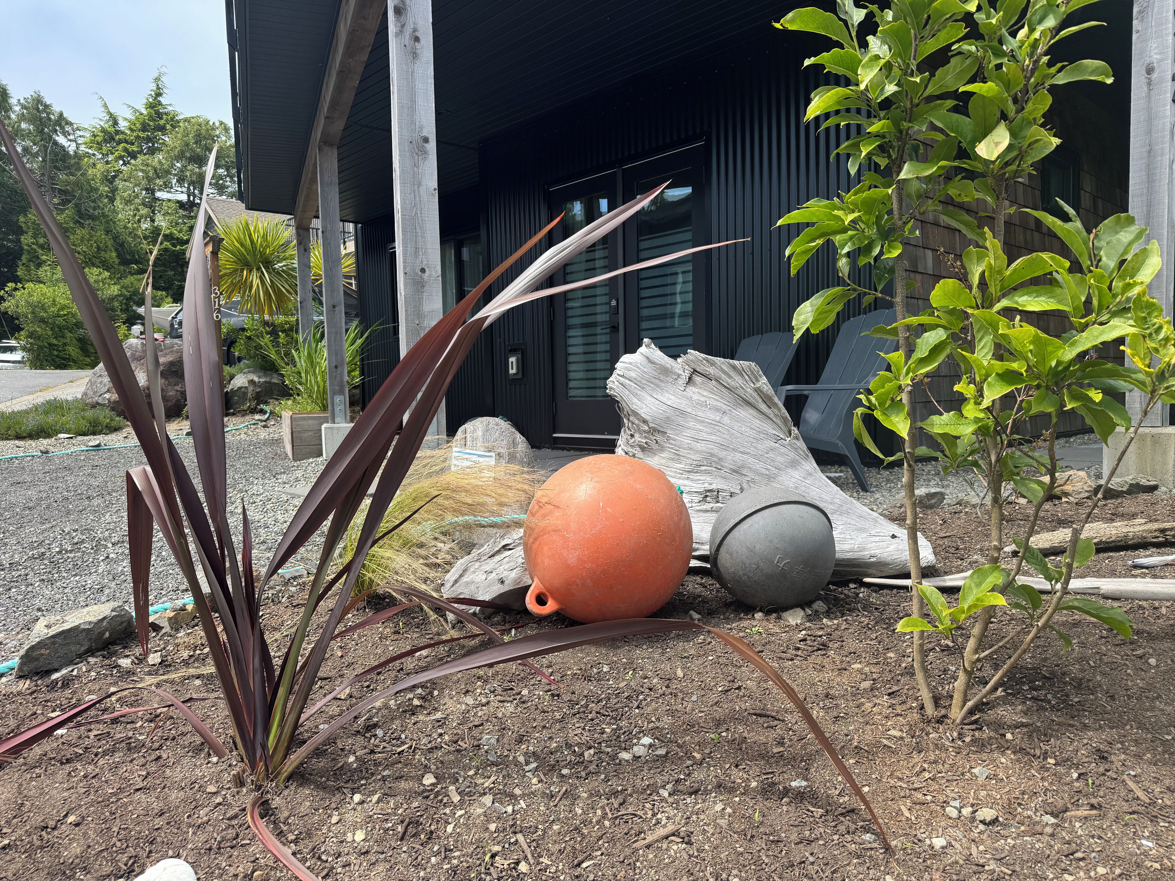 A garden area with a variety of plants, a large piece of driftwood, and a spherical object.