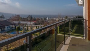 A balcony with a glass railing overlooking a residential area and a body of water.