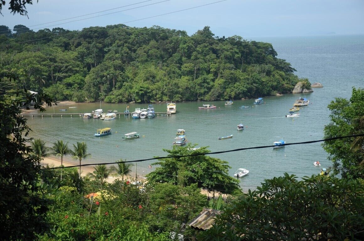Zona costera con barcos amarrados cerca de una isla boscosa, una playa de arena y abundante vegetación.