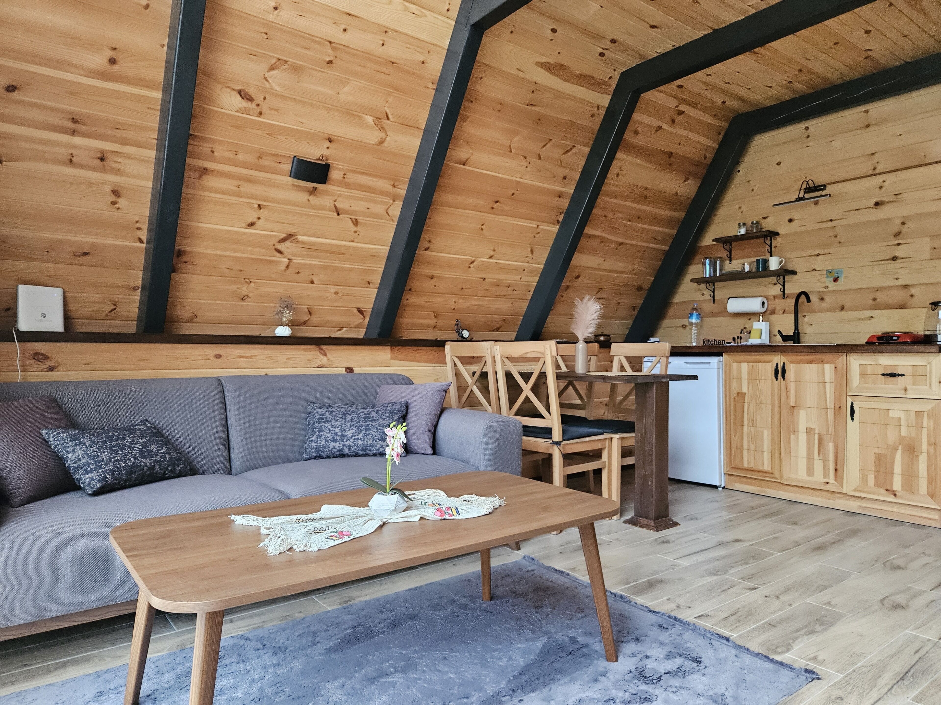 Smart TV de 43 pulgadas con canales digitales y películas de estreno 