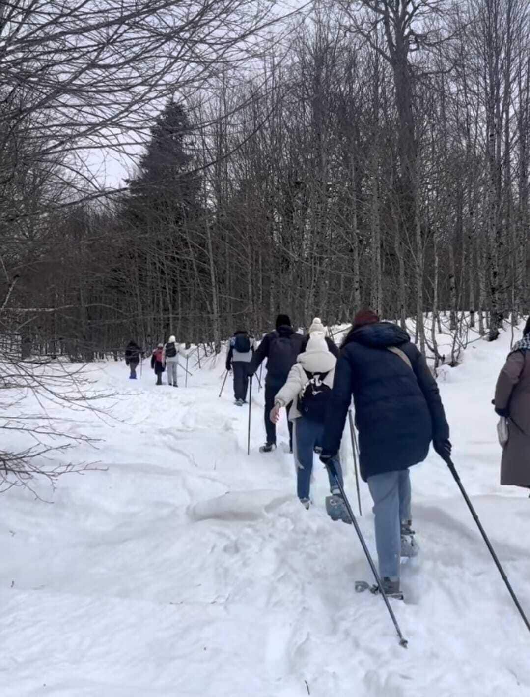 A group of people walking through a snowy forest.