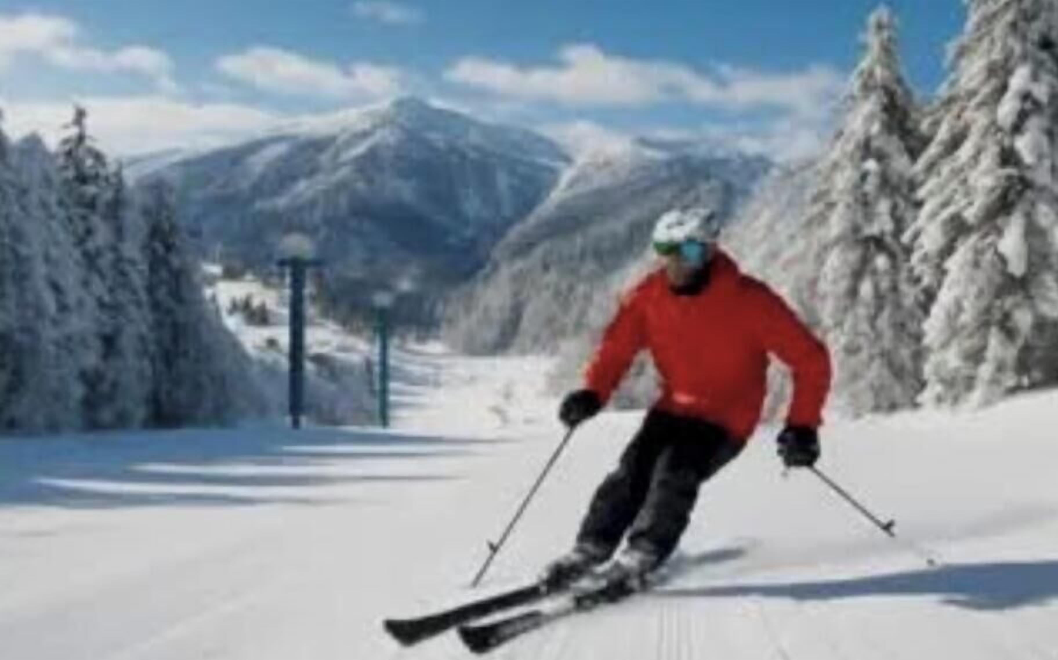 Una persona scia su un pendio innevato, sullo sfondo alberi e montagne ricoperte di neve.