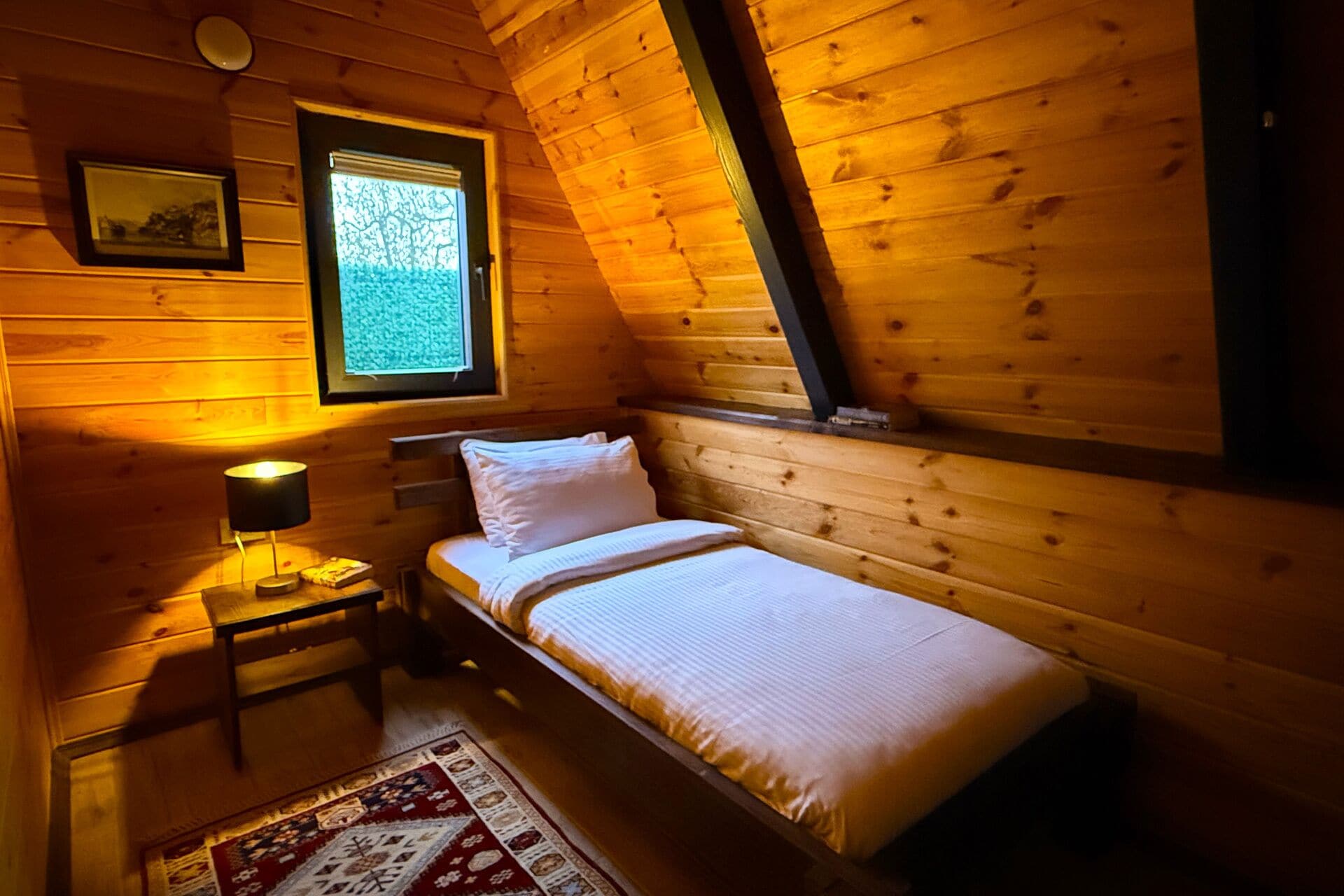 Una habitación pequeña y acogedora con una cama individual, una mesita de noche, una lámpara, un cuadro enmarcado y una ventana con vistas a árboles.